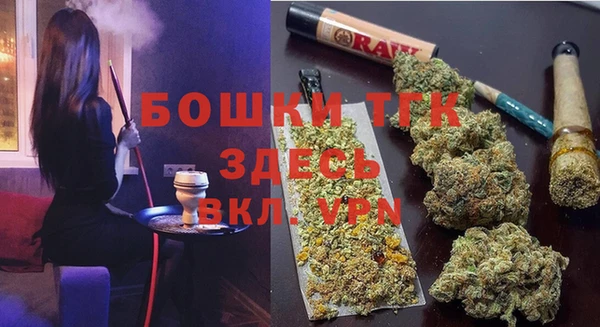 индика Куйбышев