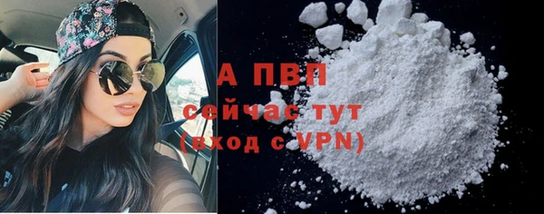 индика Куйбышев