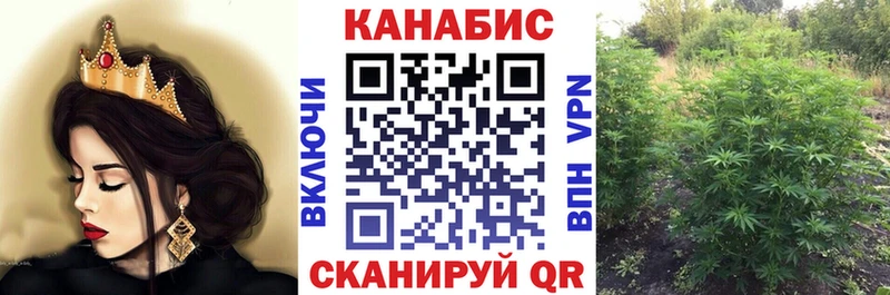 Бошки марихуана VHQ  Купить где  Новосибирск 